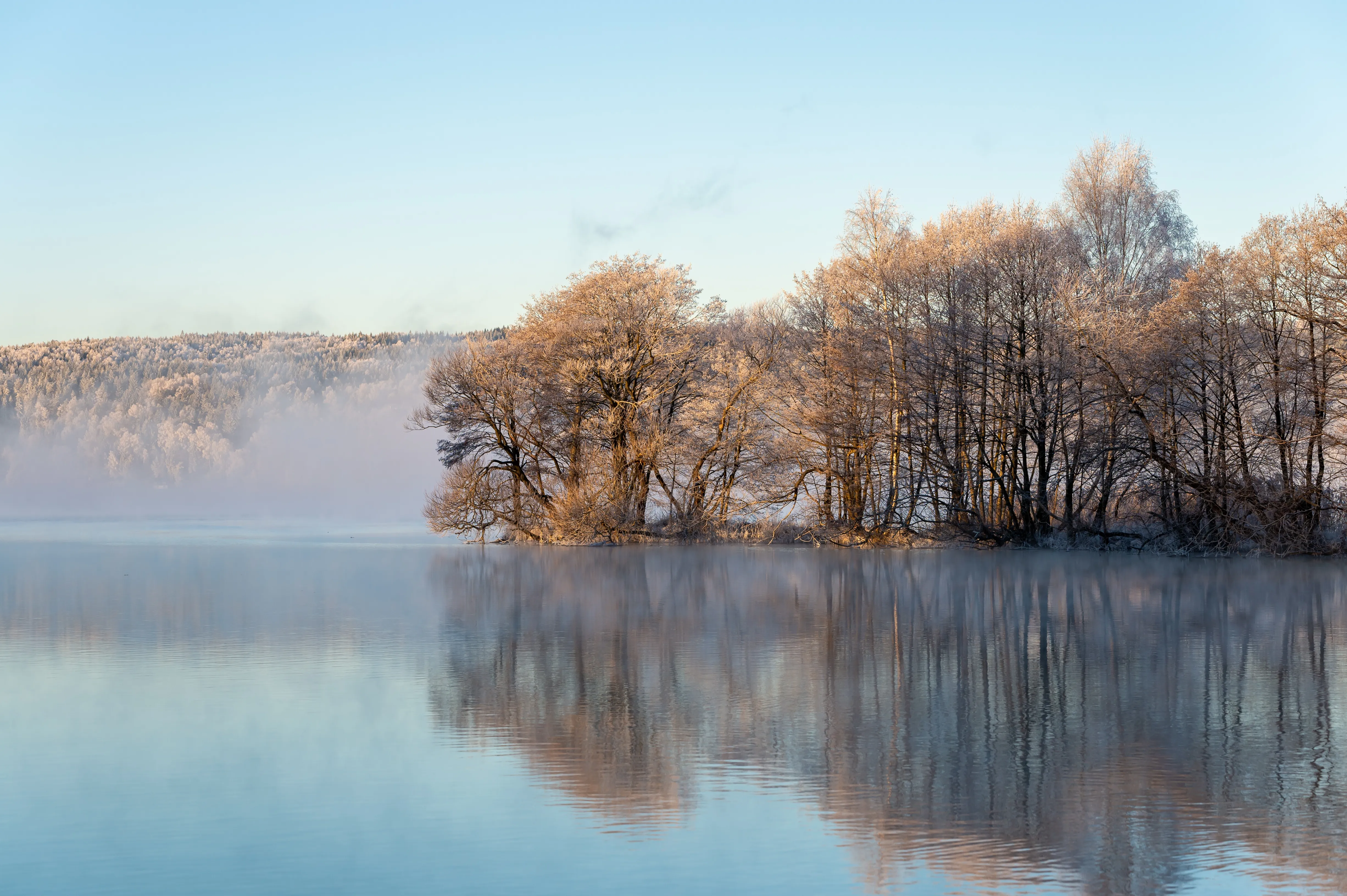 beautiful misty morning sunrise dawn lake (Designed by Freepik)